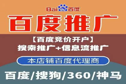 行业领先的SEM竞价广告投放案例